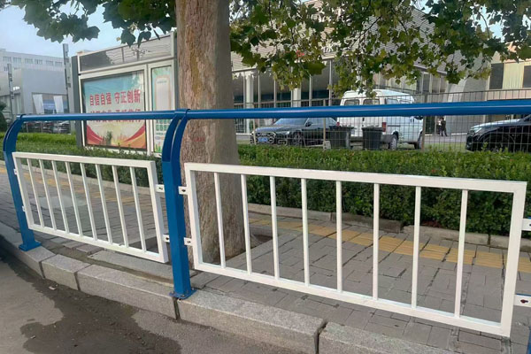 Urban Sidewalk Pedestrian Safety Barrier Project